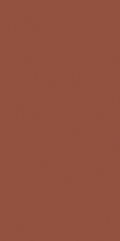 Купить Ceracasa Croma Terracotta 49,1x98,2 
