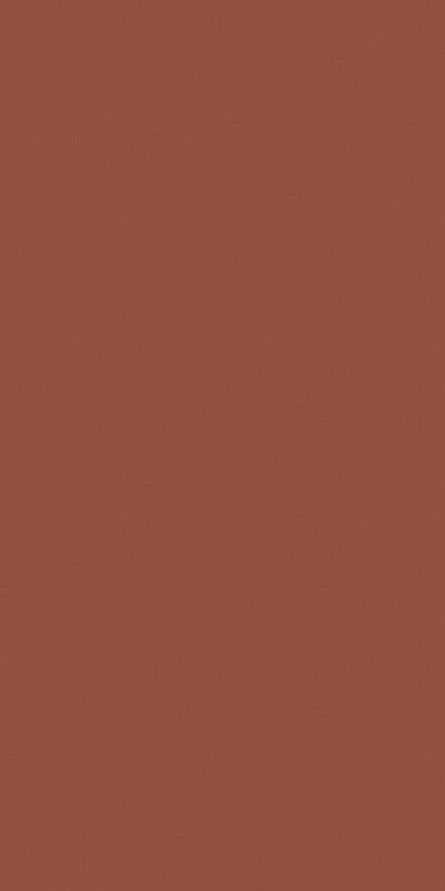Купить Ceracasa Croma Terracotta 49,1x98,2 