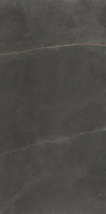 Купить Argenta Emerita Dark 60х120 