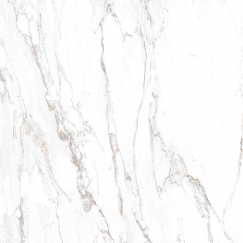 Купить Vives Dandy Semele-R Blanco 59,3х59,3 