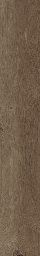 Купить Porcelanosa Forest Par-ker Cognac 14,3x90 