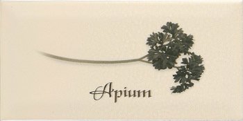 Купить Ape Metro Decor Crema Apium 10х20 