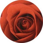 Купить Lavica Set Discus Fiori 1 37х37 