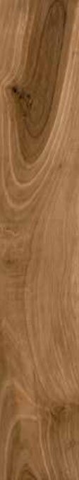 Купить Ecoceramic Tasmania Teak 20х120 