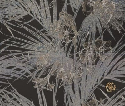 Купить Roberto Cavalli Natural Black Tropi.Log.D+B 64x75 