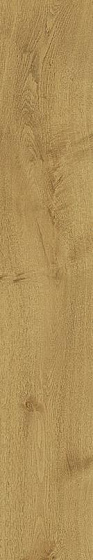 Купить Atlas Concorde Heartwood Malt 20х120 