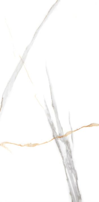Купить NT Ceramic Maritaca Statuario Ultra White NTT99513M 60x120 