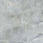 Купить Frost Tasmania Lap. Rett. 46.5х46.5 