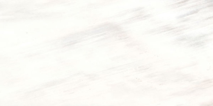 Купить Roberto Cavalli Tanduk Bianco Rett. Lapp. 60х120 