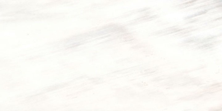 Купить Roberto Cavalli Tanduk Bianco Rett. Lapp. 60х120 