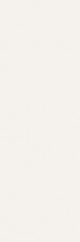 Купить Allegro White Matt. Rec. 40x120 