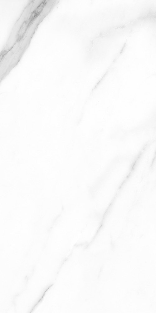 Купить Argenta Atreo Blanco Pulido 60x120 