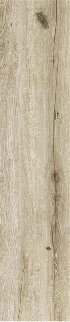 Купить STN Springwood Natural Rect 22,7x119,5 