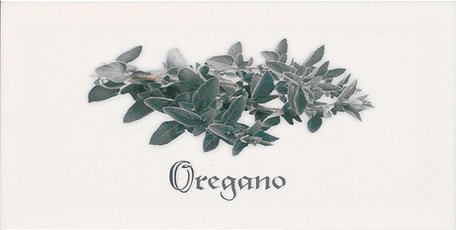 Купить Ape Metro Decor Blanco Oregano 10х20 