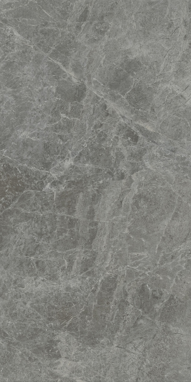 Купить NT Ceramic Bright And Shiny Tundra Grey Mat NTT9119M  60×120 