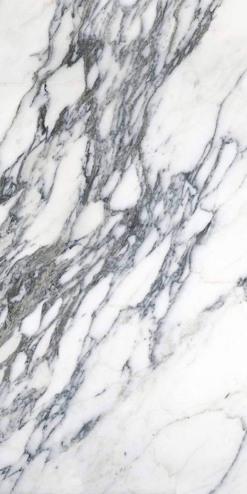 Купить Staro Palacio Carrara Surplus High Gloss 60x120 