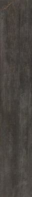 Купить Roberto Cavalli Signoria Ebano Nat Rett. Firma 16,5х100 