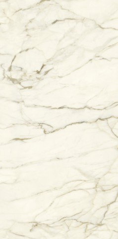 Купить Ariostea Marmi Classici Calacatta Macchia Vecchia Lev. Silk 60x120 