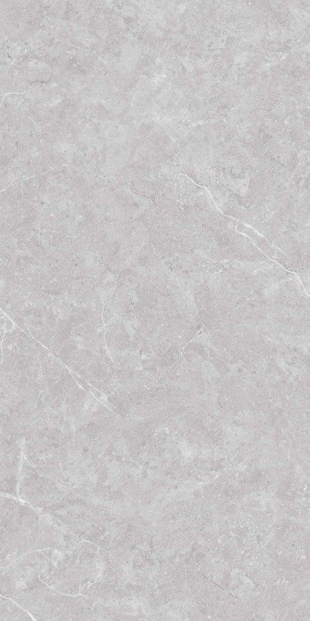 Купить Neodom Stone&More Tokyo Grey Matt  60×120 