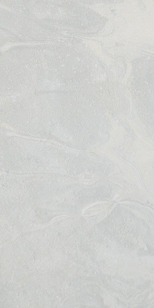 Купить Vives Salerno-R Gris 60x120 