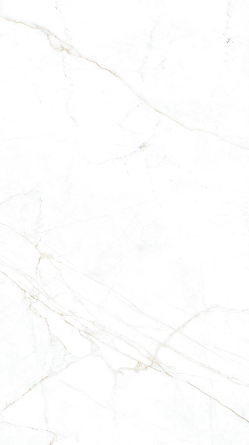 Купить Museum Dual White SP R 100x180 