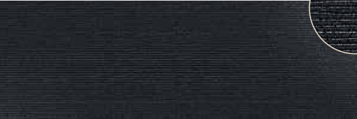 Купить Emigres Silextile Negro Dec 75x25 