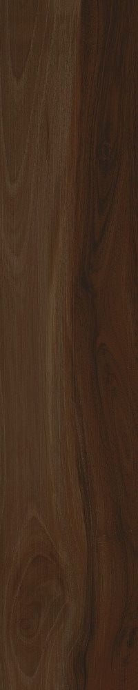 Купить Cerdomus Savanna Brandy 20X100 