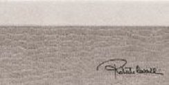 Купить Roberto Cavalli Tanduk Alzata Nero Firma 10x19,8 