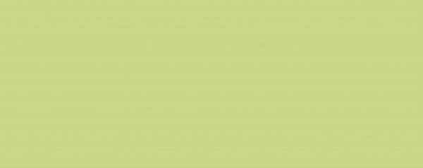 Купить Kerlife Splendida Verde 20,1х50,5 