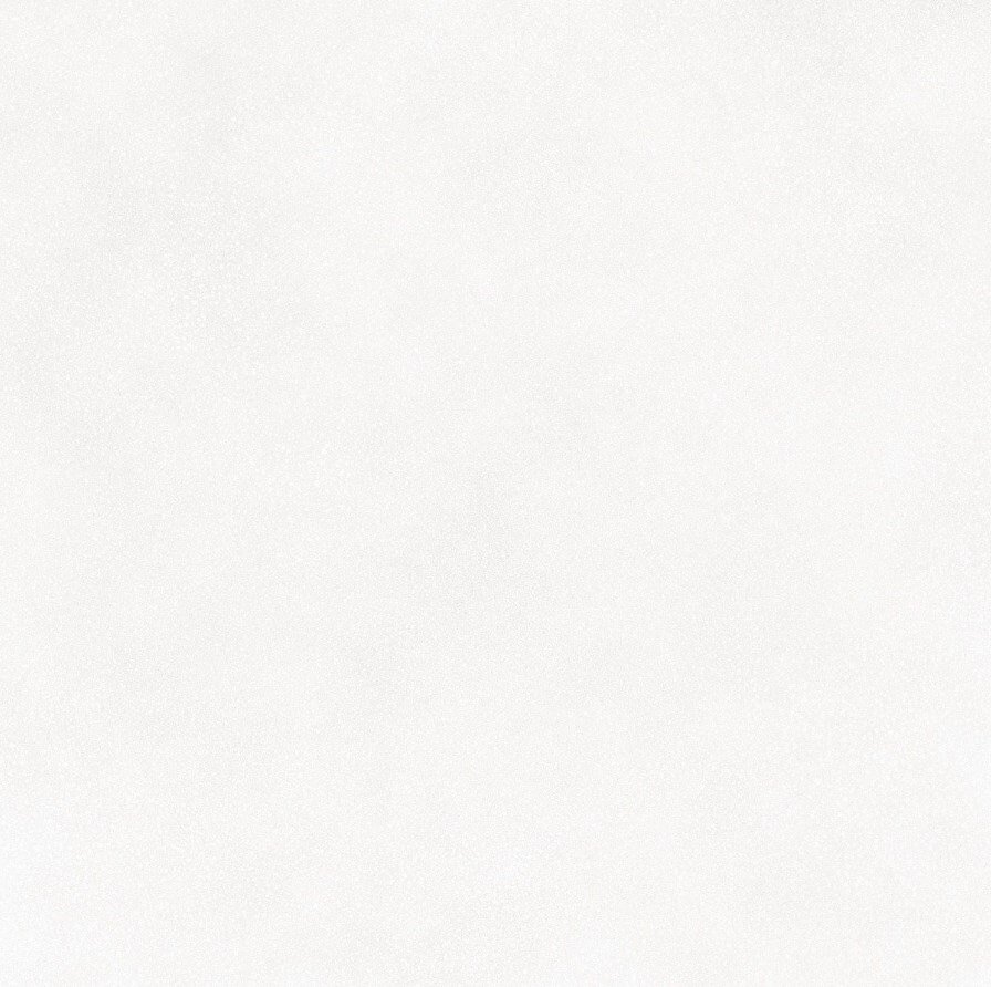 Купить Saloni Pobles Blanco 18.5х18.5 