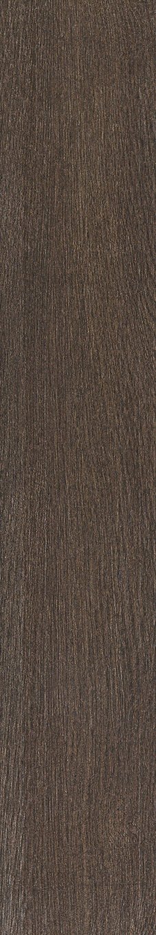 Купить Pamesa Landes Caoba Mat. 20x120 