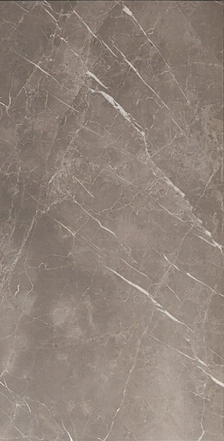 Купить Pamesa CR Piave Argent Leviglass 60x120 