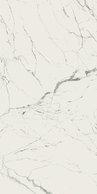 Купить Caesar Anima Statuario Luc 160x320 