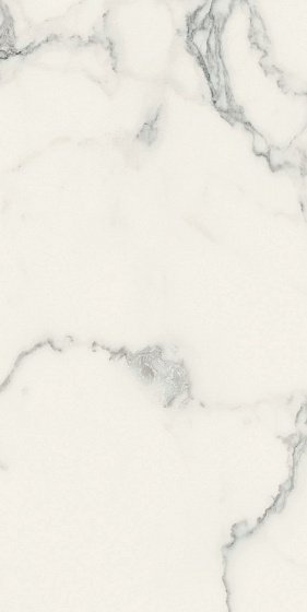 Купить Rex Magnum Classici Statuario Glossy 60х120 6мм 