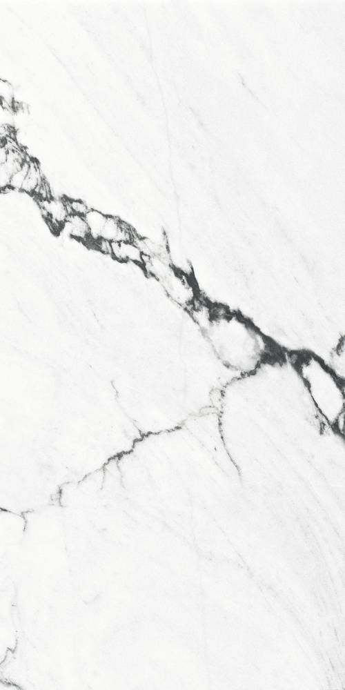 Купить ITT Calacatta Black Polished Rect 60x120 