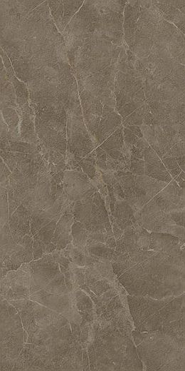 Купить Atlas Concorde Supernova Stone Grey Wax Ret 60x120 