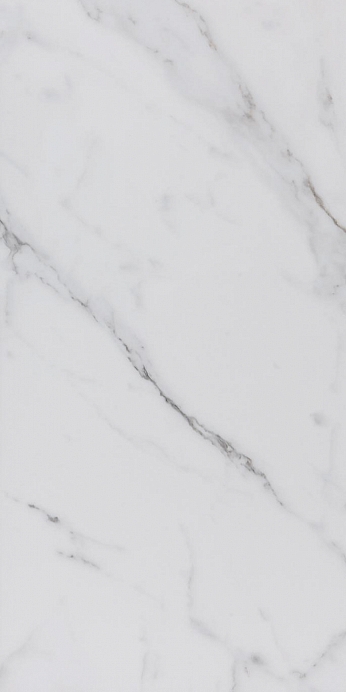 Купить Pamesa Es.Garda Blanco Leviglass Rect. 60x120 