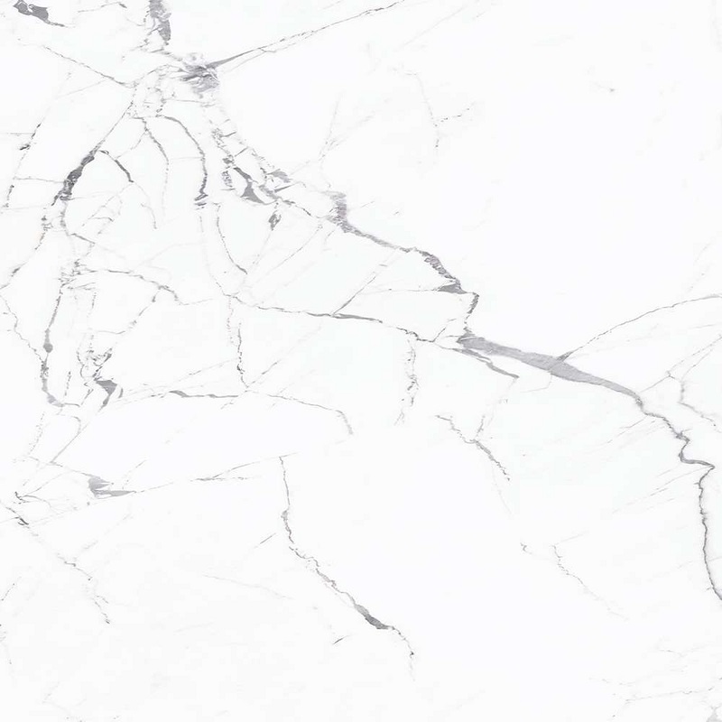 Купить Caesar Anima Statuario Silk 120x120 