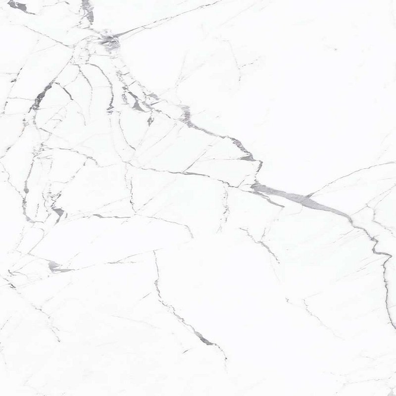 Купить Caesar Anima Statuario Silk 120x120 