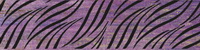 Купить Brennero Folli Follie List.Lacche Wild Ametista 15X60 