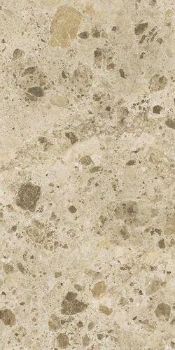 Купить Fap Nativa Sand Matt R9 60x120 
