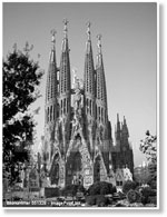 Купить BARCELONA 25х33 