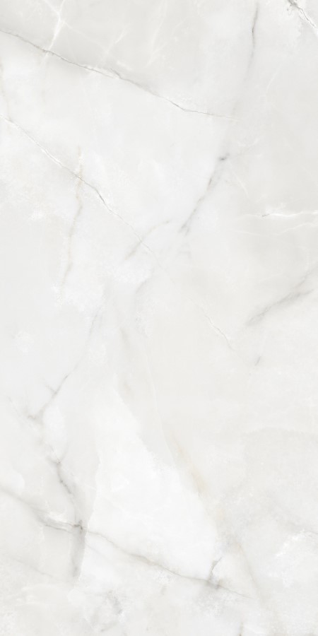 Купить Neodom Onix Pro Moon Polished 60x120 