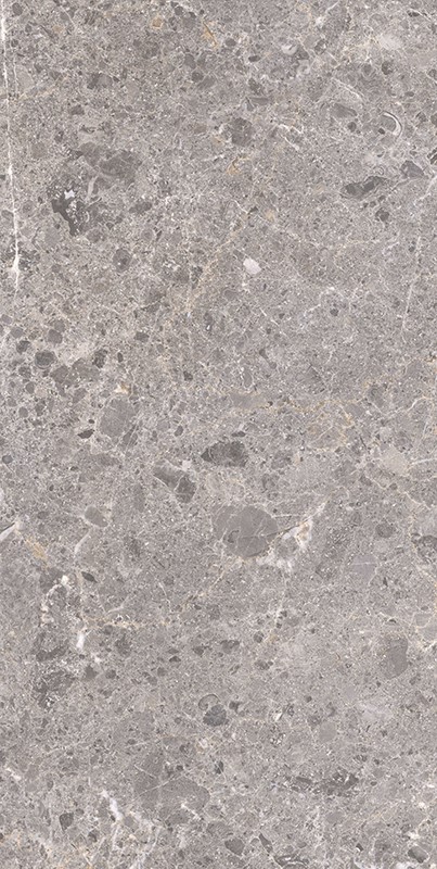 Купить Grespania Artic Gris Natural 60x120 