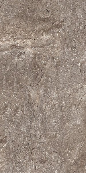Купить Leopard Stone Grey Polished 60x120 