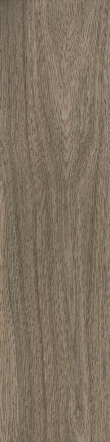 Купить Ragno Escape Tortora 12,5x50 
