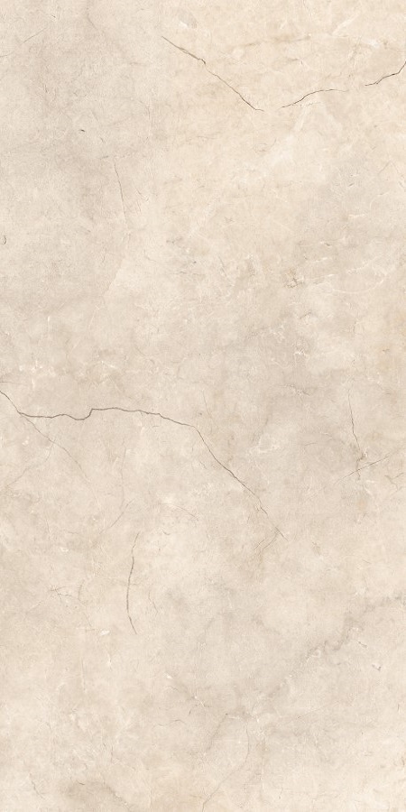 Купить Neodom Splendida Fushion Beige Polished 60x120 