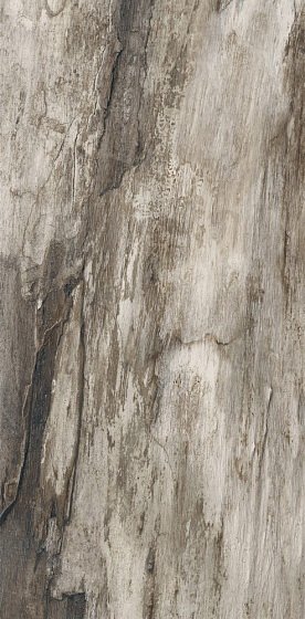 Купить Emil Ceramica Petrified Tree Grey Bark 45х90 