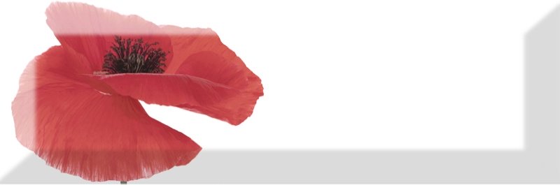 Купить Absolut Keramika Decor (pz) Poppy 01 10х30 