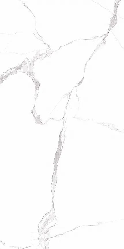 Купить Guangdong Shenghui Ceramics Marbles SH126G001 Rect 60x120 